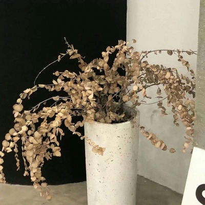 平川福瑞交流群